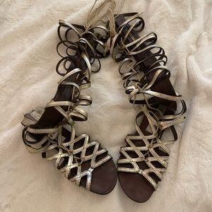 Steve Madden Gladiators